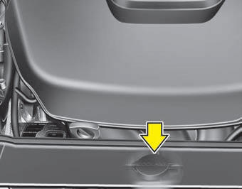 Checking the coolant level