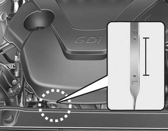 Checking the engine oil level