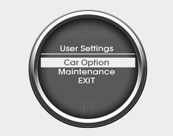 Car option (only for Type B cluster, if equipped)