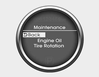 Maintenance system (only for Type B cluster, if equipped)