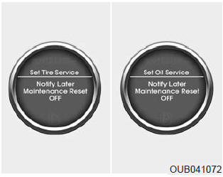 2.If you would like to reset or inactivate the maintenance system press the RESET